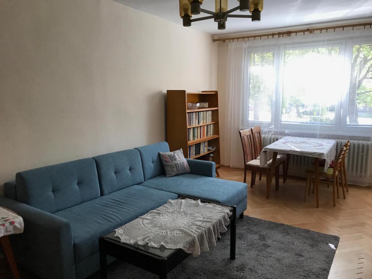 Sunny Appartment By The River Dolny Kubin Exteriör bild
